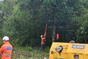 Workers have had to cut down trees to gain access to the site.