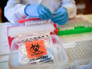 Supporting image for story