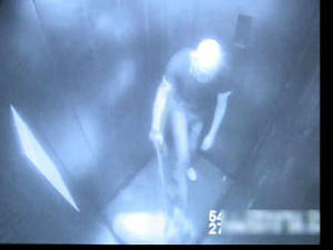 Supporting image for story: Man caught on film kicking dog