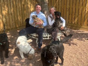 Supporting image for story: Shropshire dog daycare business hits 'significant milestone' after expanding into second site near Shifnal