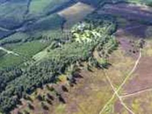 Supporting image for story: Demand for rethink on stadium collapses