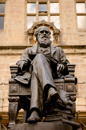 Supporting image for story