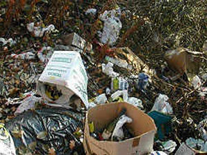 Supporting image for story: Millions could be saved by rubbish