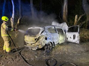 Supporting image for story: Driver flees as car bursts into flames after smashing into tree