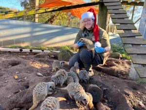Zookeepers even have to work on Christmas Day