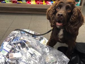 Supporting image for story: Detective dogs sniff out 48,000 illegal cigarettes hidden around Walsall
