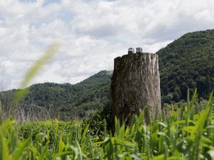 Slovenia Melania Trump Statue