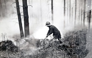The Chase was hit by forest fires during the sizzling hot summer of 1976. 