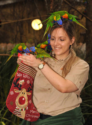 Treats for lorikeets, from wildlife VIP guide Emily Rogers