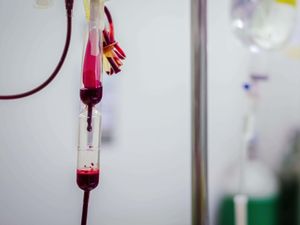 Supporting image for story: Call for catch-up campaign to spot undiagnosed people infected with ‘bad blood’