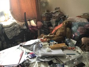 Supporting image for story