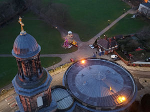 The tree as seen from above St Chad's. Picture: Shrewsbury Town Council