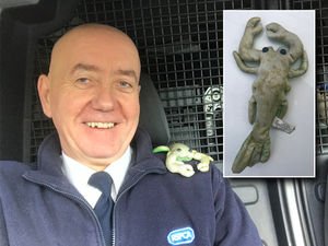 Supporting image for story: Woman mistakenly calls in RSPCA over toy salamander