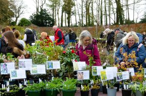 Sugnall Walled Garden Spring Plant Hunters Fair takes place on Sunday 29th March