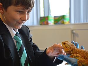 Supporting image for story: Pupils receive support from therapy animals