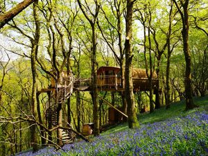 Supporting image for story: Climbing high - Treehouses scale the heights with Lonely Planet accolade