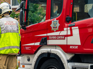 Supporting image for story: Firefighters free puppy stuck behind radiator in Oswestry