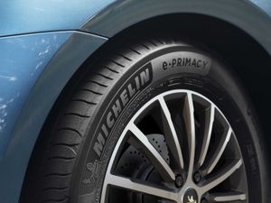 Supporting image for story: Michelin promises tyres will be made from fully sustainable materials by 2050