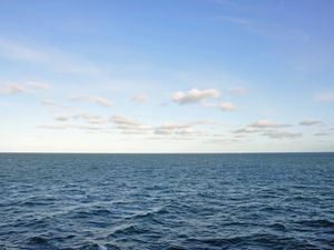 Supporting image for story: UN ocean target to be missed by eight decades, Greenpeace analysis finds