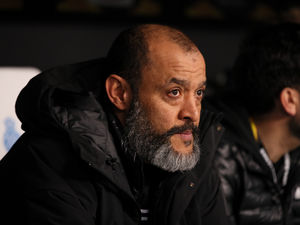 Supporting image for story: Win, lose or draw? Predicting Wolves' last nine Premier League matches