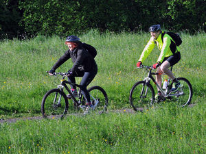 Supporting image for story: Letter: Cycle paths should be used for safety