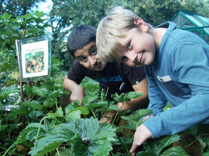 Supporting image for story: Kingswood Trust bosses chuffed with new grant