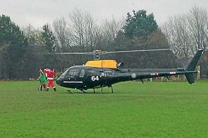 Santa and Buddy arrive by helicopter. Image: Carol Mcquiggin