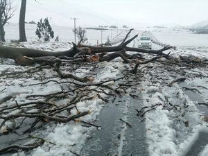 Supporting image for story: At least 49 people have died in flooding in South Africa, officials say