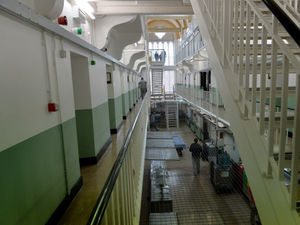 Supporting image for story: Jailed again: Paedophile hid images of children with animals while under police monitoring