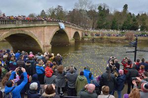 Bewdley Duck Race