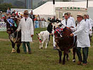 Supporting image for story: Show tickets on sale across UK