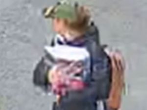 Supporting image for story: ‘Significant possibility’ missing woman entered the river, police say