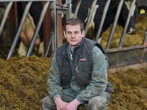 Supporting image for story: Milk crisis: Next few months could be crucial say farmers