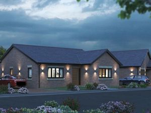 How the development could look