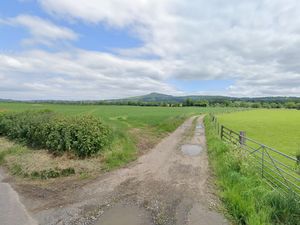 Supporting image for story: South Shropshire estate plans for new park for nervous dogs gets tails wagging