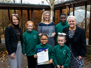 Supporting image for story: Telford primary school celebrates national award for trauma-informed practice