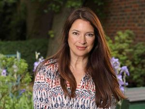 Supporting image for story