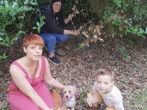 Supporting image for story: 'It was horrifying': Neighbours jump into action to help cat stuck on barbed wire