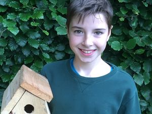 Supporting image for story: Jake's homemade bird box impresses in sustainability competition