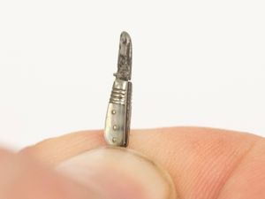 Supporting image for story: 'World's smallest penknife' up for auction as part of extraordinary lifetime collection