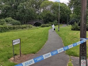 Supporting image for story: Police continue to question teen after 15-year-old is stabbed to death in Wolverhampton