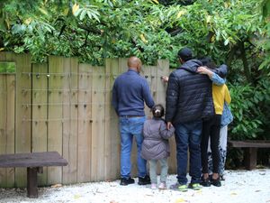 Supporting image for story: Remember loved ones at special celebration event