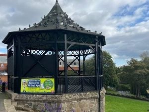 Supporting image for story: Work to commence on vandal-hit historic bandstand 