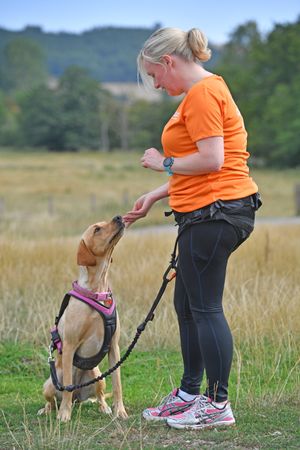 Sara-Jane offers a range of canicross classes