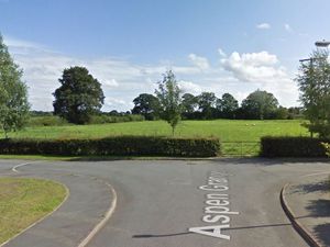 Supporting image for story: Green light for 40 village homes