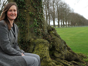 Supporting image for story: RAU proud to be a partner in a new project to improve the welfare of dairy calves and their mothers