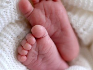 Supporting image for story: Just 4% of men applying to be sperm donors end up donating – study