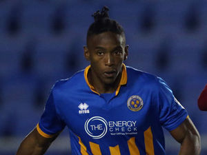 Supporting image for story: Shrewsbury Town will show a swift response, insists Omar Beckles