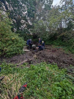 Caramel the mare was stuck in mud. Picture: Amber Watch Wellington