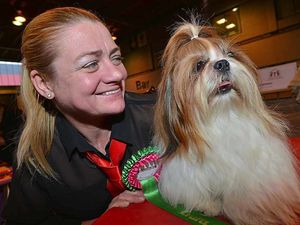 Supporting image for story: LIVE video and full gallery: Dogs have their day at Crufts